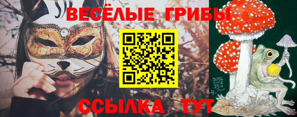 Ковров  Галлюциногенные грибы Cubensis  Вход с VPN 