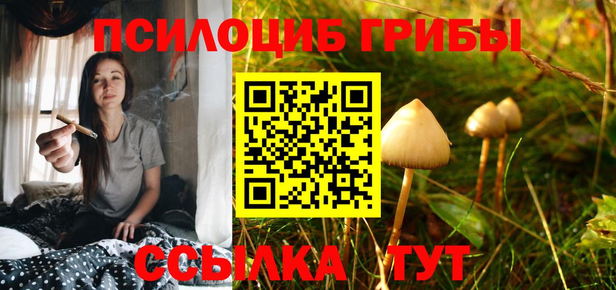 Галлюциногенные грибы Cubensis Ковров